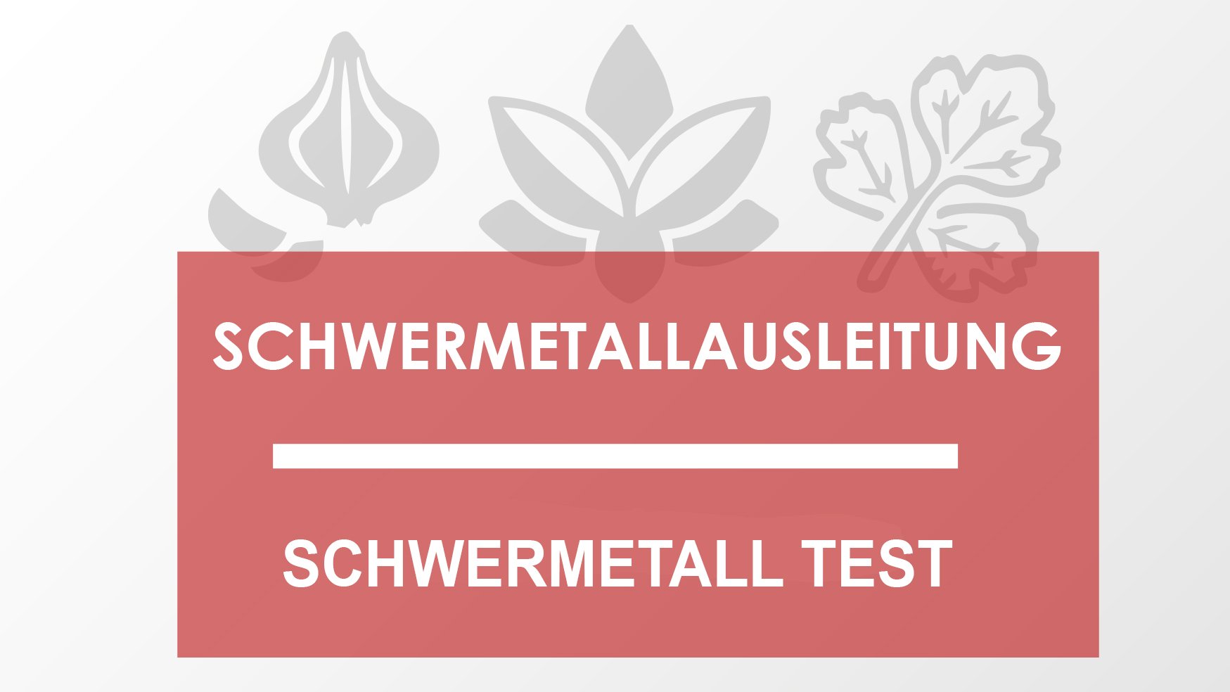  Schwermetall Test Schwermetallausleitung de