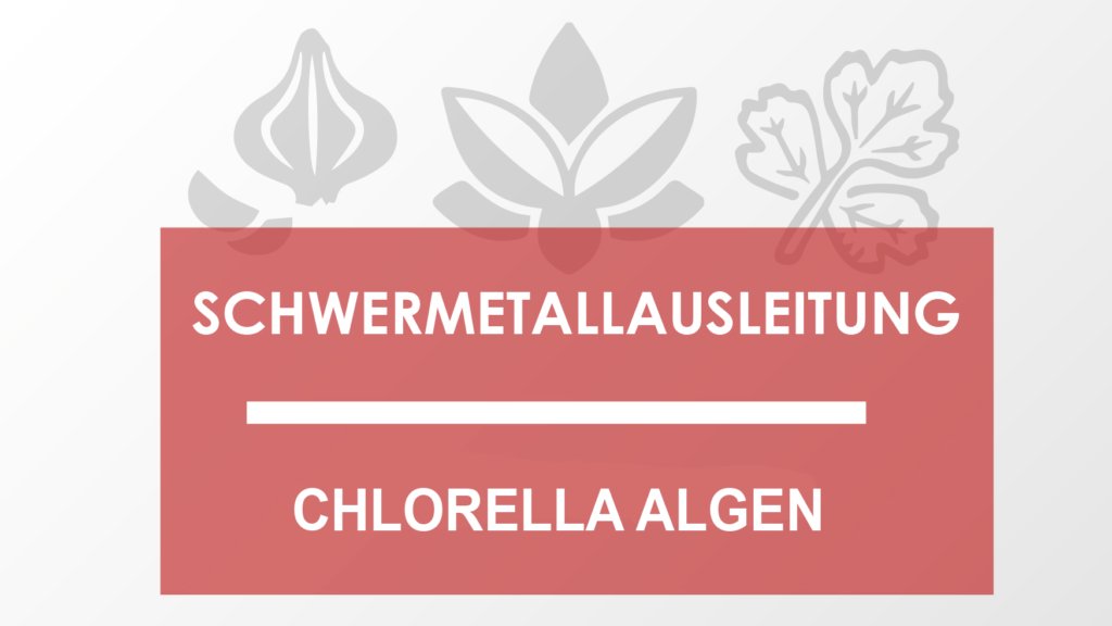 Schwermetallausleitung mit Chlorella Algen